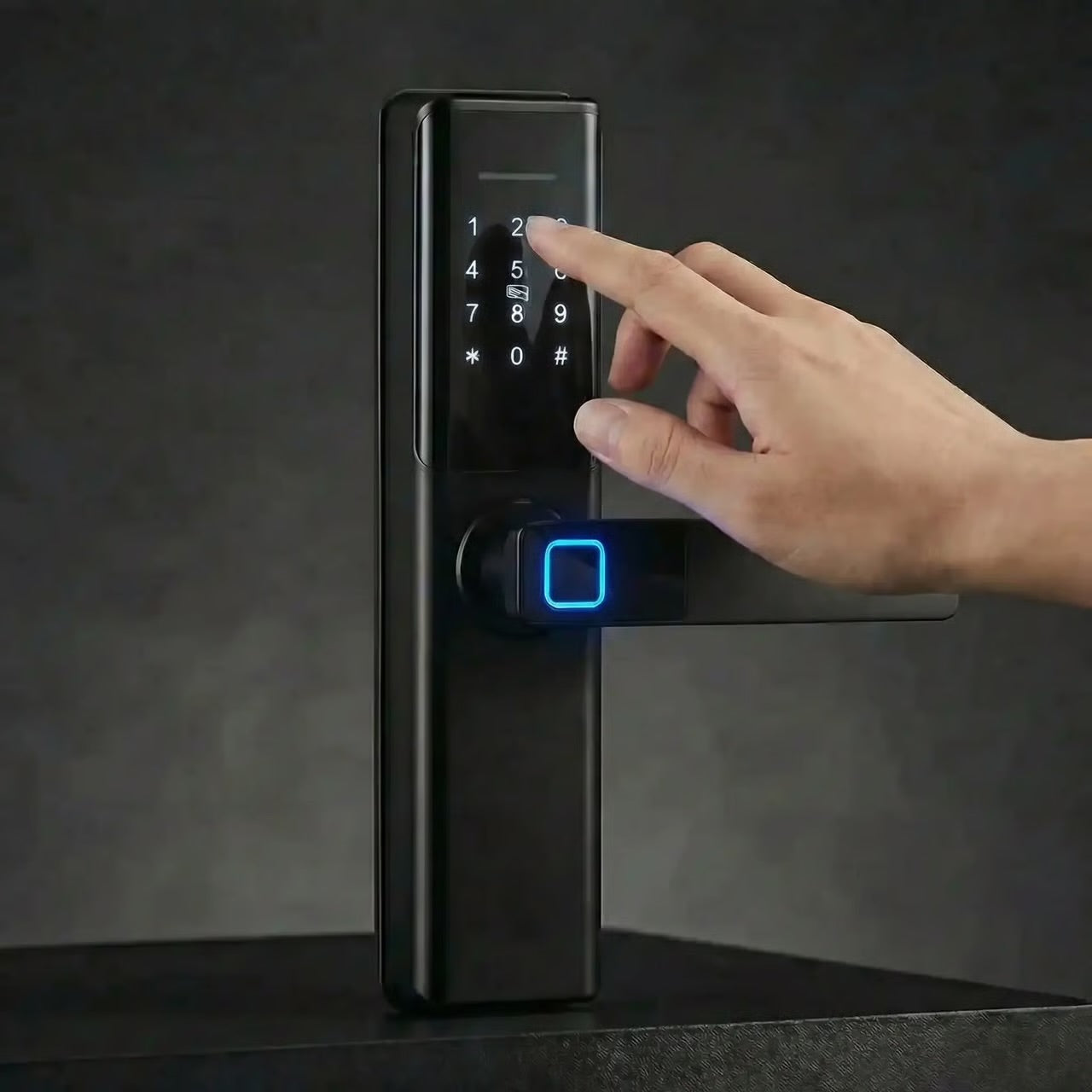 SR-01 FINGERPRINT SMART LOCK