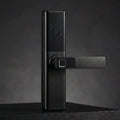 SR-01 FINGERPRINT SMART LOCK